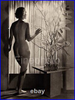 1930s Vintage Female Nude Back BERTRAM PARK YVONNE GREGORY Photo Art Deco 11X14