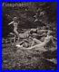 1937 Vintage ALFRED CHENEY JOHNSTON Female Nude In Stream Art Deco Photo Litho